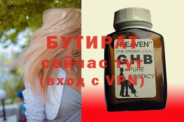 сатива Алзамай
